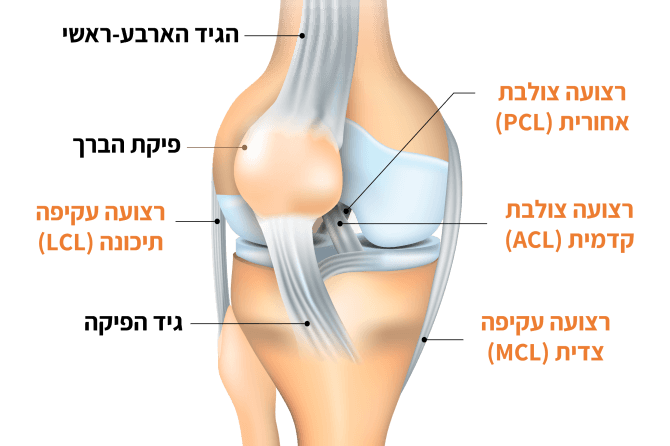 קרע ברצועת הברך